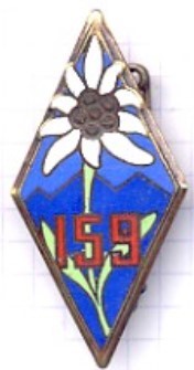 Insigne 159 RI